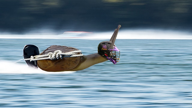 林诗栋说感谢大哥大姐莎头绷不住了林诗栋发言莎头表情亮了